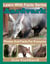 Aardvarks Photos and Facts for Everyone - Learn With Facts Series, #105