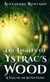 The Lights of Ystrac's Wood - The Seven Gods, #1.5
