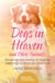 Dogs in Heaven: and Other Animals - Extraordinary stories of animals reaching out from the other side