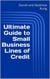 Ultimate Guide to Small Business Lines of Credit - Ultimate Small Business Guide Book Series, #11
