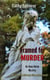 Framed for Murder - An Anna Nolan Mystery, #1