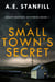 A Small Town's Secret - Grant Dawson Mysteries, #1