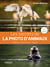 Les secrets de la photo d'animaux - Matériel - Prise de vue - Terrain