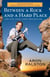 Between a Rock and a Hard Place - The Basis of the Motion Picture 127 Hours