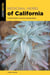 Medicinal Herbs of California - A Field Guide to Common Healing Plants