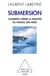 Submersion - Comment gérer la montée du niveau des mers