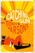 Catching the Sun
