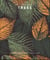 The Little Book of Trees - An arboretum of tree lore