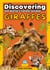 Giraffes: Discovering the World's Tallest Animal - Wildlife Wonders: Exploring the Fascinating Lives of the World's Most Intriguing Animals
