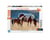 Puzzle N 1500 pièces - Jument et son poulain