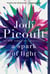 A Spark of Light - A Novel