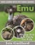 Emu Photos and Fun Facts for Kids - Kids Learn With Pictures, #98