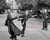 A Way of Life - Zen Monastics at Work and at Play