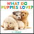 What Do Puppies Love?