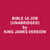 Bible 18 Job (Unabridged)