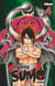 Hinomaru Sumo - Tome 04