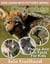 Coyotes Photos and Fun Facts for Kids - Kids Learn With Pictures, #114