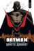 Batman Beyond the White Knight