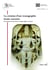 La création d'une iconographie sivaïte narrative - Incarnations du dieu dans les temples pallava construits