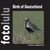 Birds of Deutschland - fotolulus Bildband IX