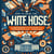 How to Seize the White House: A Comprehensive Guide to American Presidential Campaigns - US presidential elections
