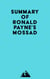 Summary of Ronald Payne's Mossad