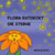 Flora entdeckt die Sterne