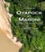 Oyapock et Maroni - Portraits d’estuaires amazoniens