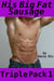 His Big Fat Sausage, Triple Pack 1 (Gay Erotica)