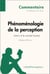 Phénoménologie de la perception de Merleau-Ponty - Autrui et le monde humain (Commentaire) - Comprendre la philosophie avec lePetitPhilosophe.fr