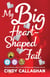 My Big Heart-Shaped Fail - A Tween Comedy of Errors