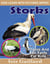 Storks Photos and Fun Facts for Kids - Kids Learn With Pictures, #95