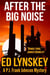 After the Big Noise - P.I. Frank Johnson Mystery Series, #6