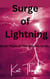 Surge of Lightning - Insanity Novella(Max POV), #3