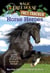 Horse Heroes - A Nonfiction Companion to Magic Tree House Merlin Mission #21: Stallion by Starlight