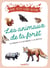 Les animaux de la forêt - Les observer, les reconnaître, les protéger