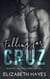 Falling For Cruz - Ravens Hockey Series, #1