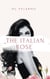 The Italian Rose