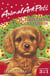 Animal Ark Pets Christmas Collection - THREE BOOKS IN ONE