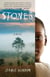 Stones - A Novel