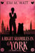 A Right Shambles in York - A DI Adams Mystery - A DI Adams Mystery, #4