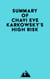 Summary of Chavi Eve Karkowsky's High Risk