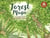 Forest Magic - A Guidebook for Little Woodland Explorers