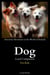 Dog Loyal Companion - Awesome Adventures in the World of Animals