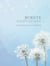 Minute Meditations - Quick Practices for 5, 10 or 20 Minutes