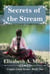 Secrets of the Stream - The Copper Creek Series, #1