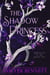 The Shadow Princess - Chronicles of the Stone Veil, #6