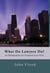 What Do Lawyers Do?: An Ethnography of a Corporate Law Firm
