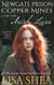 Newgate Prison Copper Mines and The Irish Lass - A 1700s Colonial America Sweet Romance Novella - Connecticut Revolutionary War Historic Romantic Tale, #1