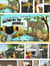 Captain Kuro From Mars Helping All The Animals Comic Strip Booklet - Captain Kuro From Mars Comic Strip Booklets English, #8